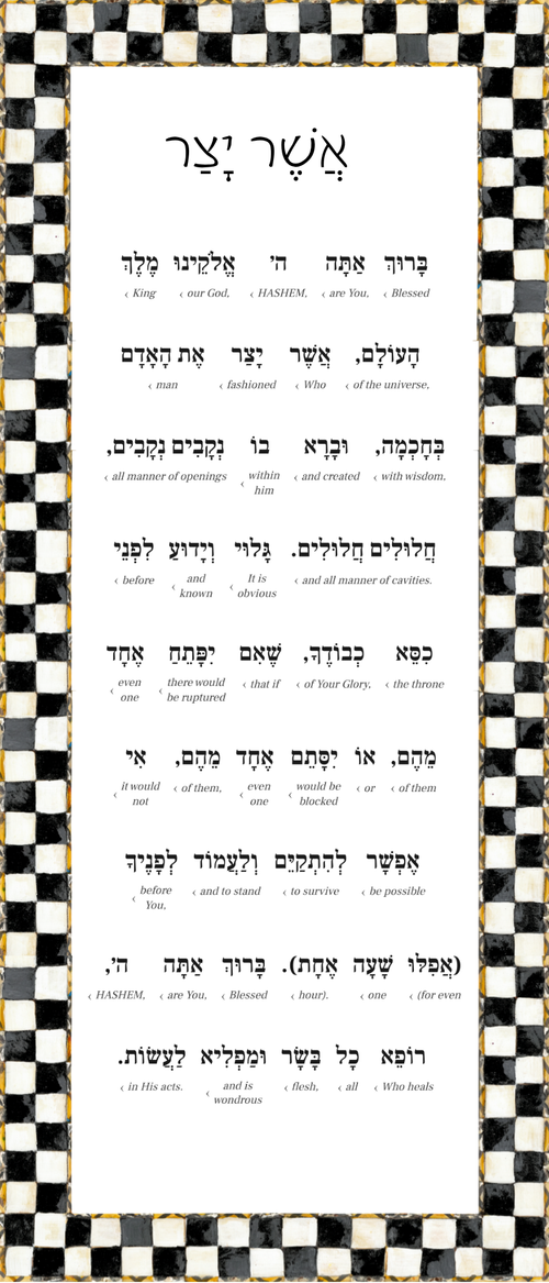 Asher Yatzar Sign – Courtly Check Bathroom Blessing Plaque (Acrylic, Aluminum) – Modern Jewish Home Decor