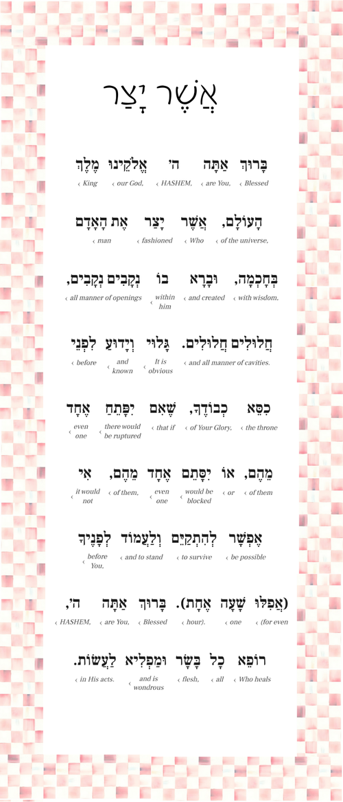 Asher Yatzar Sign – Rosy Check Bathroom Blessing Plaque (Acrylic, Aluminum) – Modern Jewish Home Decor