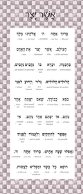 Asher Yatzar Sign – Sterling Check Bathroom Blessing Plaque (Acrylic, Aluminum) – Modern Jewish Home Decor
