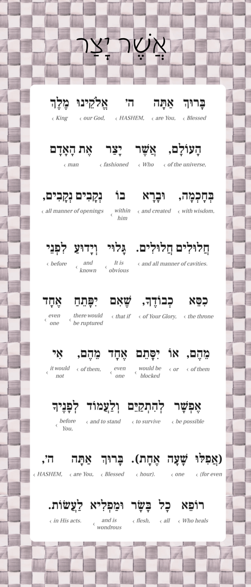 Asher Yatzar Sign – Sterling Check Bathroom Blessing Plaque (Acrylic, Aluminum) – Modern Jewish Home Decor