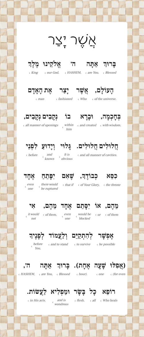 Asher Yatzar Sign – Mocha Check Bathroom Blessing Plaque (Acrylic, Aluminum) – Modern Jewish Home Decor