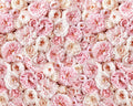 Blush Pink Rose Wall Mural