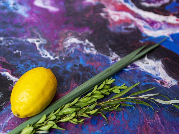 Etrog and Arba Minim Art Mural