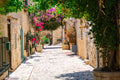 Flowering Jerusalem Alley Mural