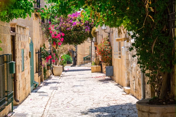Flowering Jerusalem Alley Mural