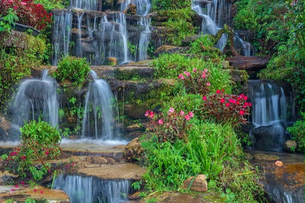 Garden Waterfall Mural