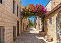 Jerusalem Bougainvillea Lane Mural