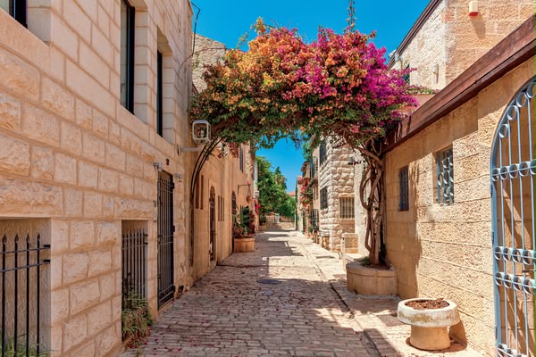 Jerusalem Bougainvillea Street Mural