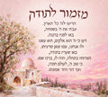 Mizmor Lisoda pink Rachels Tomb