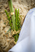 Lulav at the Western Wall Mural