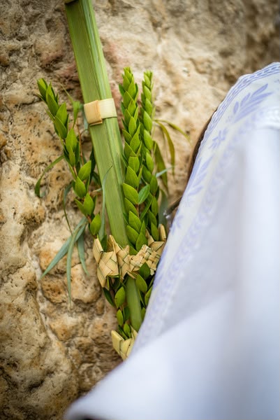 Lulav at the Western Wall Mural