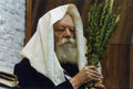 Rabbi with Arba Minim Mural
