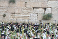Sukkot Prayers at the Western Wall Mural