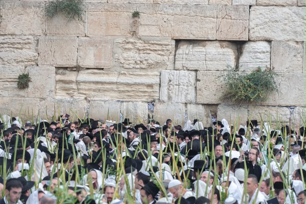 Sukkot Prayers at the Western Wall Mural