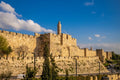 Tower of David Golden Walls Mural